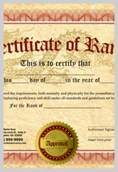 Martial Arts Rank Certificate ma010501